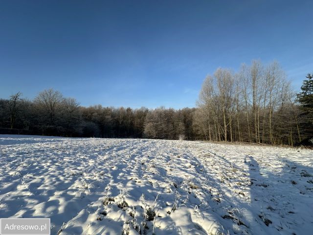 Działka budowlana Rybnik Radziejów. Zdjęcie 1