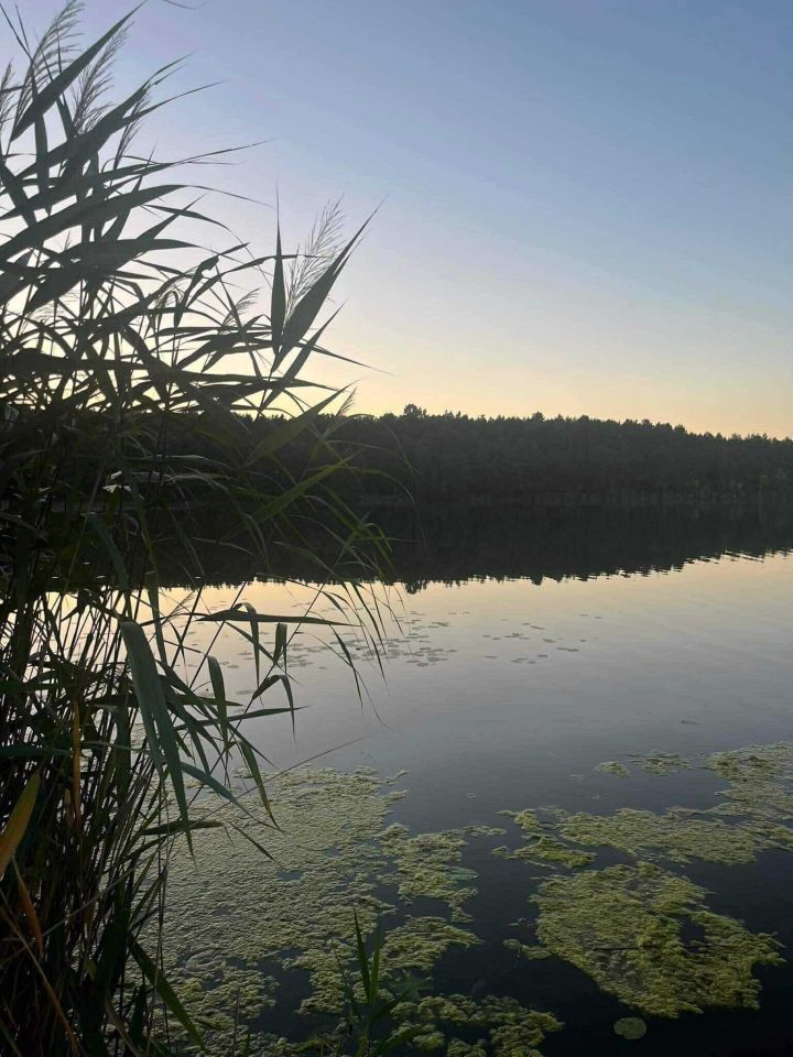 Działka budowlana Błędowo, ul. Sielawy. Zdjęcie 16