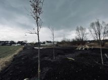 Działka budowlana Lipków, ul. Jastrzębia. Zdjęcie 4