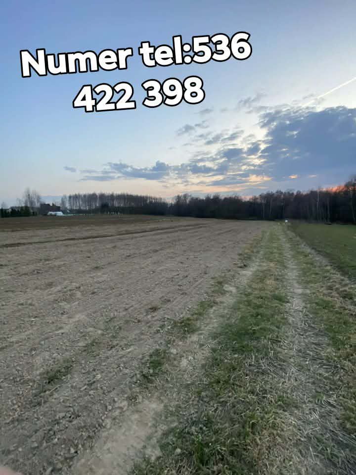 Działka budowlana Poręba Radlna. Zdjęcie 6