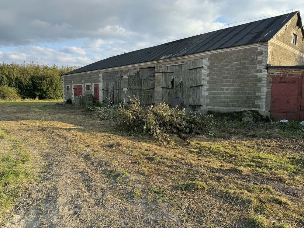 Nieruchomość komercyjna Muchnice Nowe. Zdjęcie 7