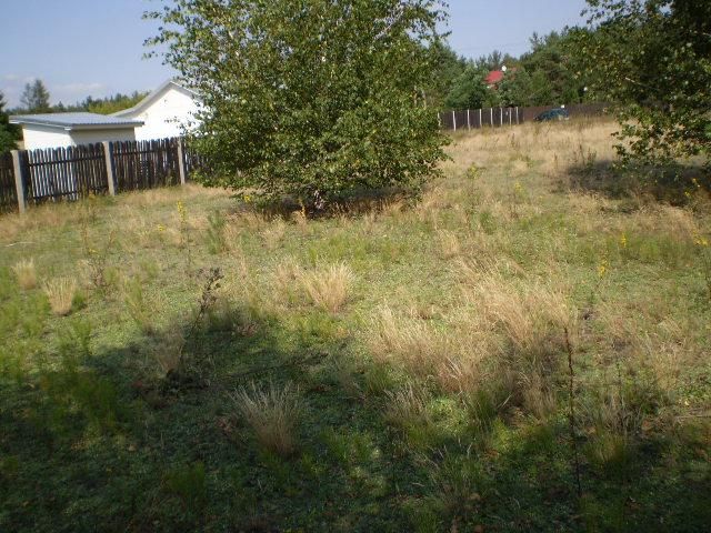 Działka rolno-budowlana Kaszewiec. Zdjęcie 9