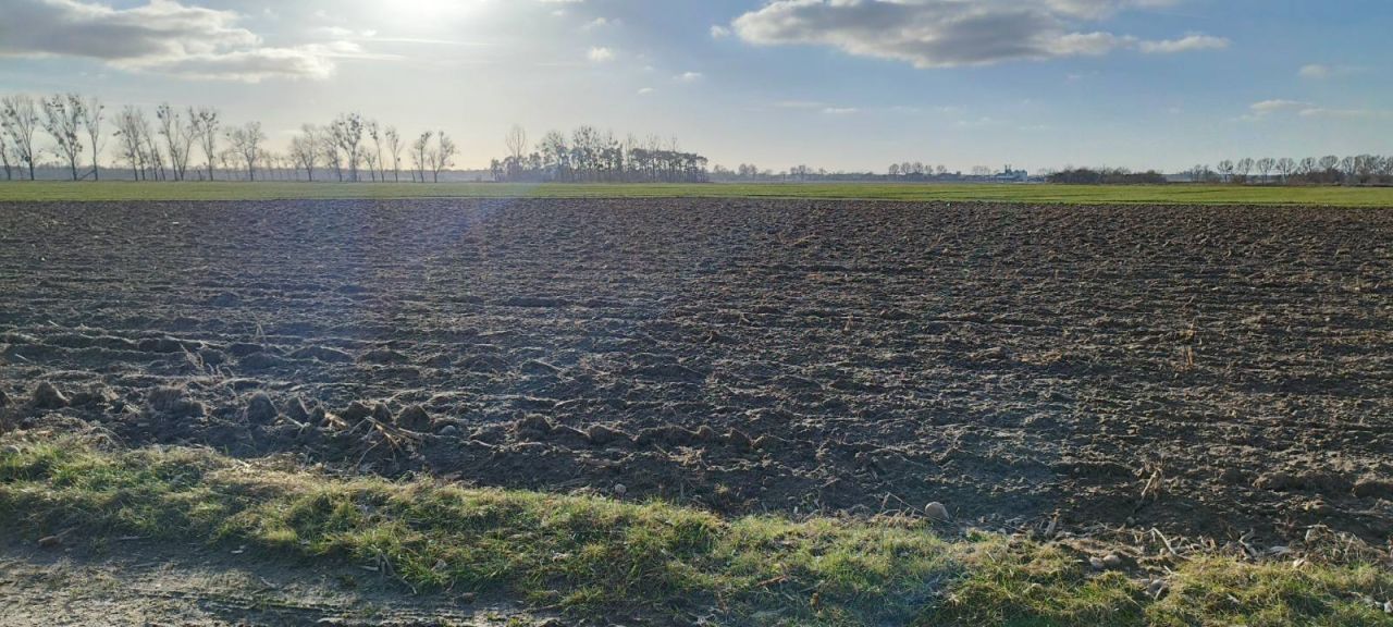 Działka inwestycyjna Wojnowice, ul. Akacjowa. Zdjęcie 20