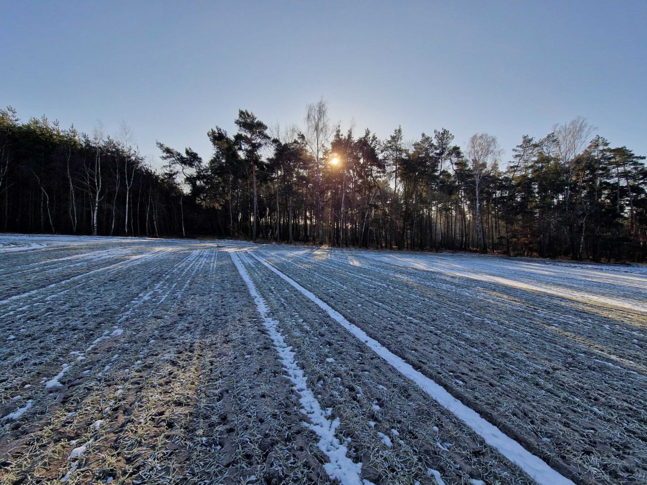 Działka leśna Goździków. Zdjęcie 2