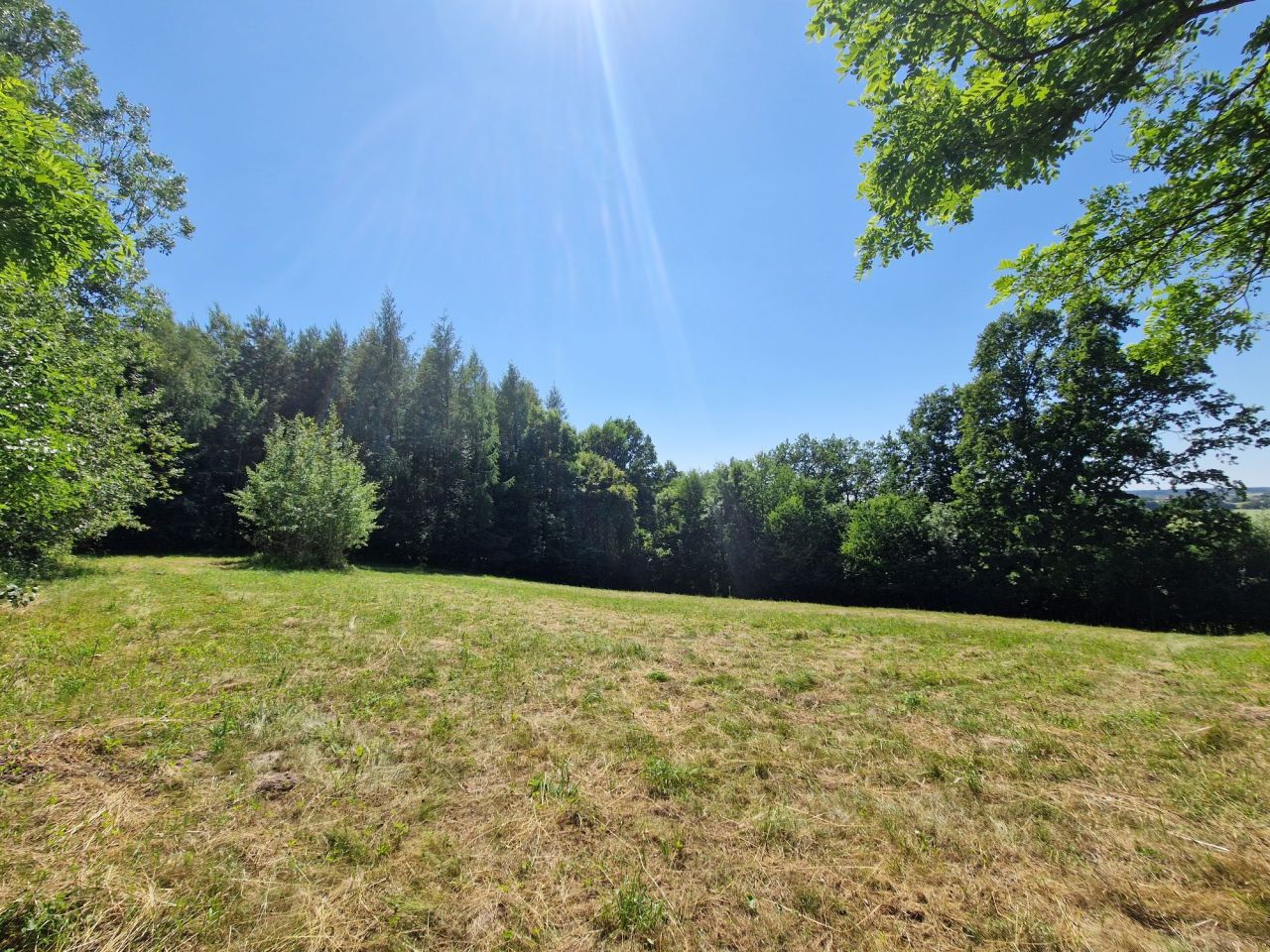 Działka rolno-budowlana Zamszany. Zdjęcie 4