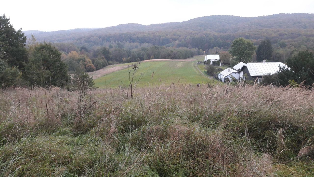 Działka rolno-budowlana Humniska. Zdjęcie 4