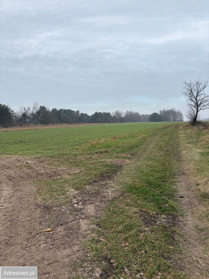 Działka rolna Jędrzejów Nowy. Zdjęcie 6