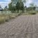 Działka rod Opole, ul. Częstochowska. Zdjęcie 6
