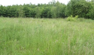 Działka rolno-budowlana Gubiny