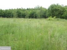 Działka rolno-budowlana Gubiny. Zdjęcie 1