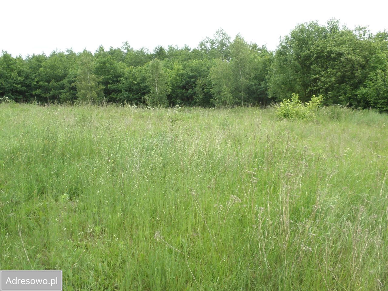 Działka rolno-budowlana Gubiny. Zdjęcie 2