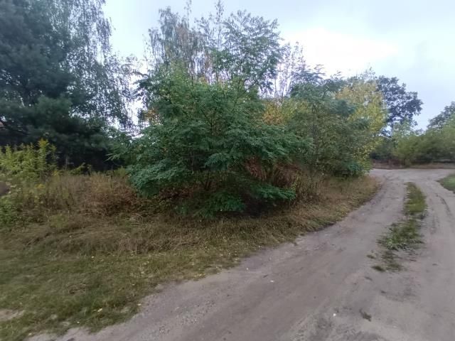 Działka rolno-budowlana Michałów-Reginów. Zdjęcie 3