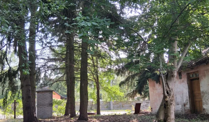 Działka budowlana Nowa Sucha