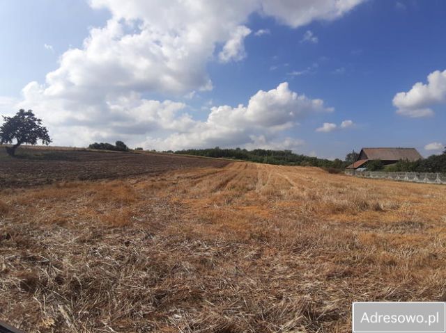 Działka rolno-budowlana Pełczyska. Zdjęcie 1