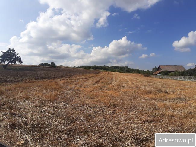 Działka rolno-budowlana Pełczyska