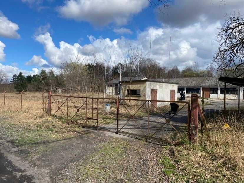 Hala/magazyn Chomino. Zdjęcie 6