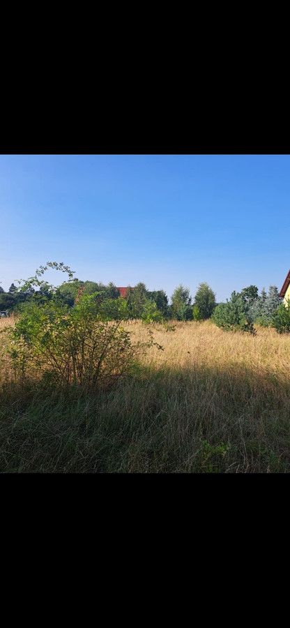 Działka budowlana Klepin. Zdjęcie 3