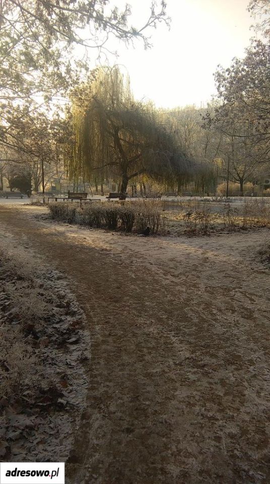 Mieszkanie 3-pokojowe Wrocław Śródmieście, pl. Grunwaldzki. Zdjęcie 6