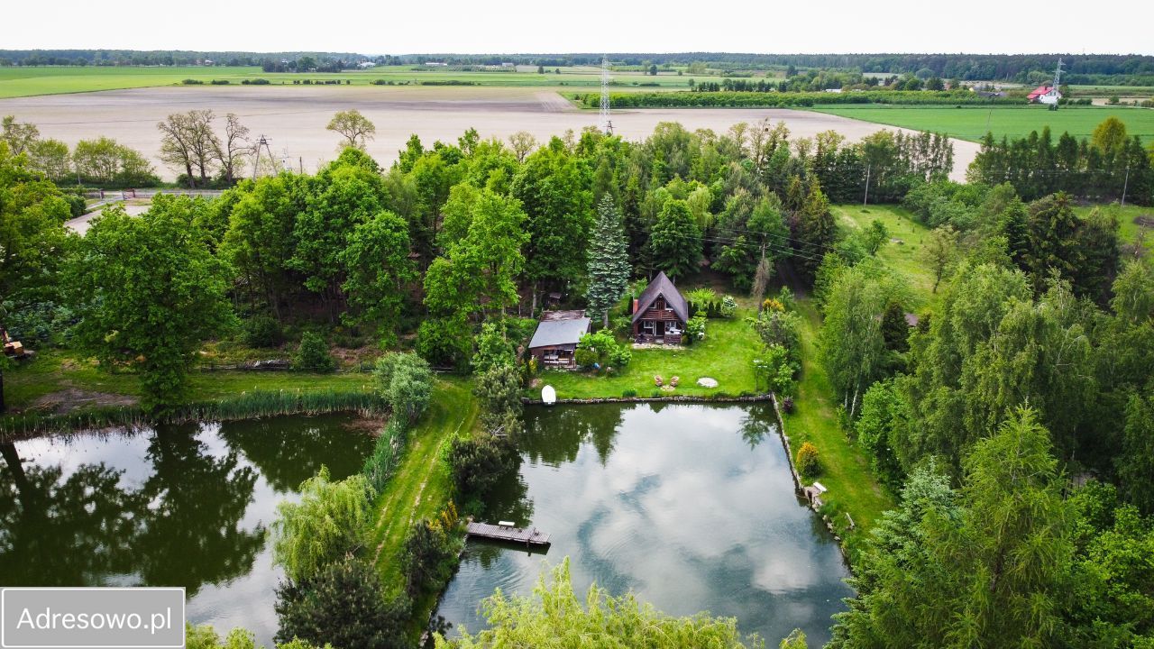 Działka siedliskowa Kalinów. Zdjęcie 6