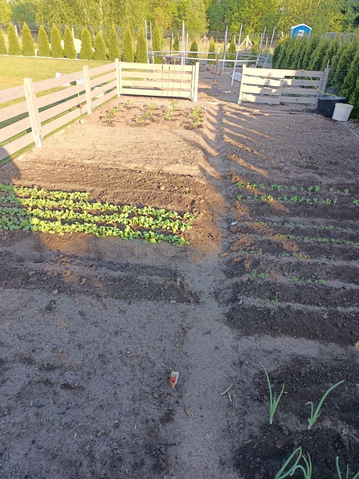 dom wolnostojący, 4 pokoje Gorzów Wielkopolski, ul. Strażacka. Zdjęcie 22