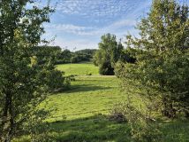 Działka rolno-budowlana Suryty. Zdjęcie 3