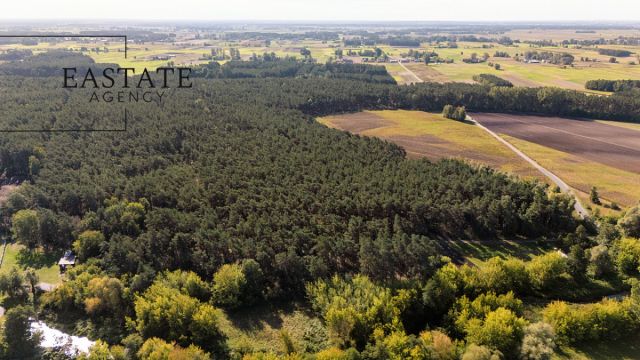 Działka leśna Maurzyce. Zdjęcie 4