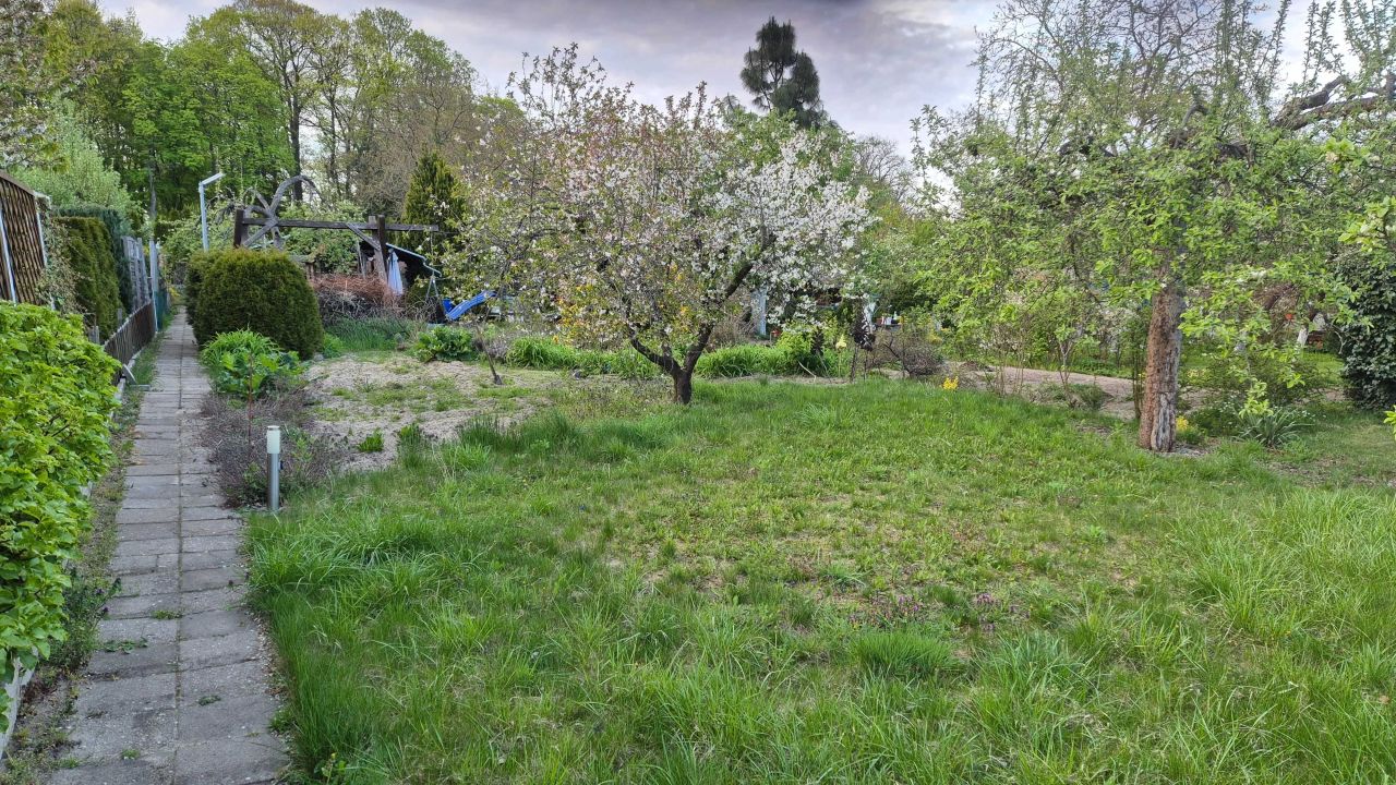 Działka rod Zielona Góra. Zdjęcie 3