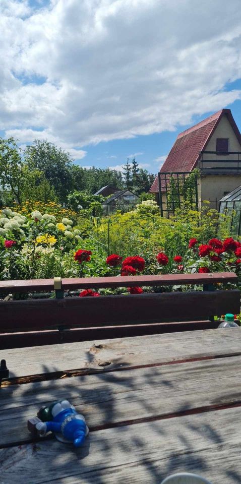 Działka rod Giżycko. Zdjęcie 3