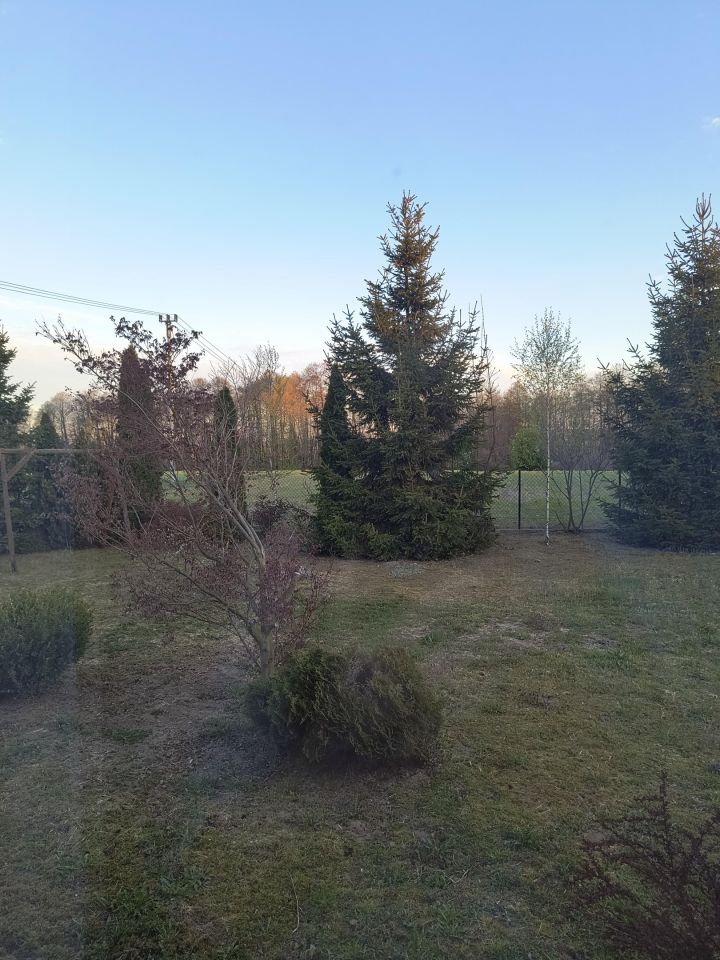 Działka siedliskowa Strachowo. Zdjęcie 6