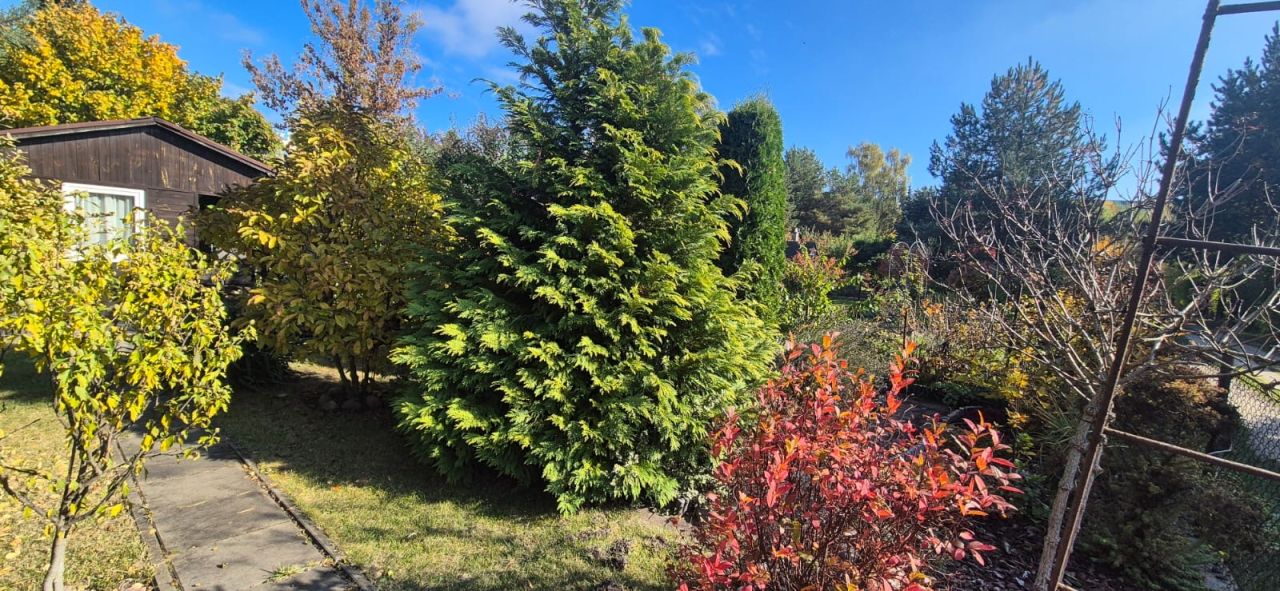 Działka rod Warszawa Okęcie, ul. Żwirki i Wigury. Zdjęcie 2