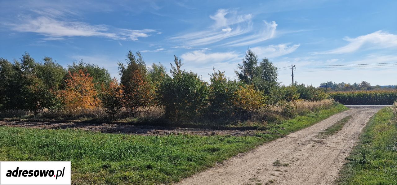 Działka budowlana Chorzenice, ul. Łąkowa. Zdjęcie 2