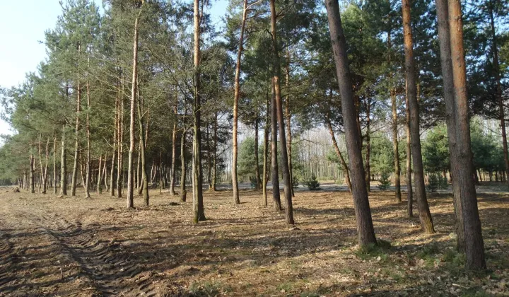 Działka rekreacyjna Łukawska Wola