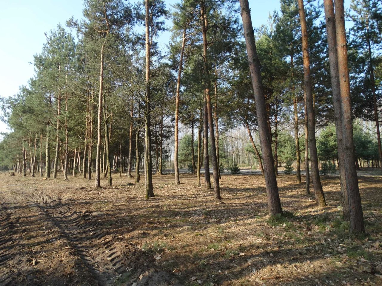 Działka rekreacyjna Łukawska Wola. Zdjęcie 1
