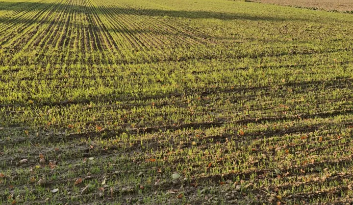 Działka budowlana Łuszczów Drugi