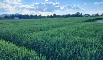 Działka rolno-budowlana Strzegom