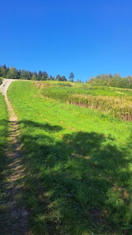 Działka budowlana Lecka. Zdjęcie 1