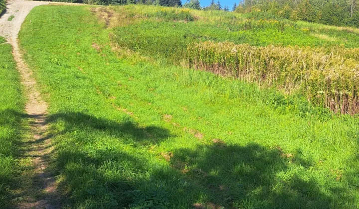 Działka budowlana Lecka