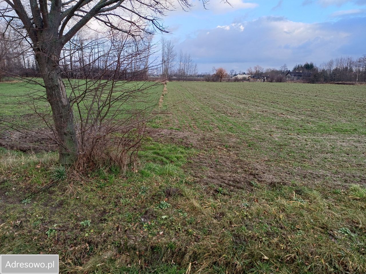 Działka rolna Kozery Nowe, ul. Popławska. Zdjęcie 15