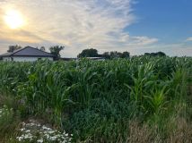 Działka budowlana Stare Miasto, ul. Kwiatowa. Zdjęcie 2