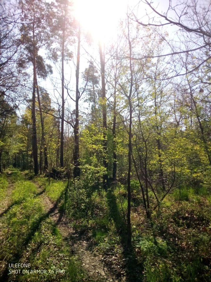 Działka leśna Adamów, ul. Rycerska. Zdjęcie 2