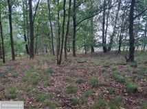 Działka budowlana Glinianka. Zdjęcie 3