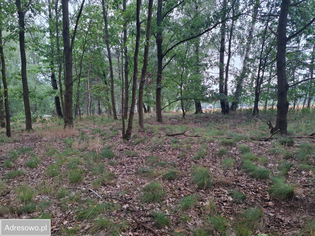 Działka budowlana Glinianka. Zdjęcie 4