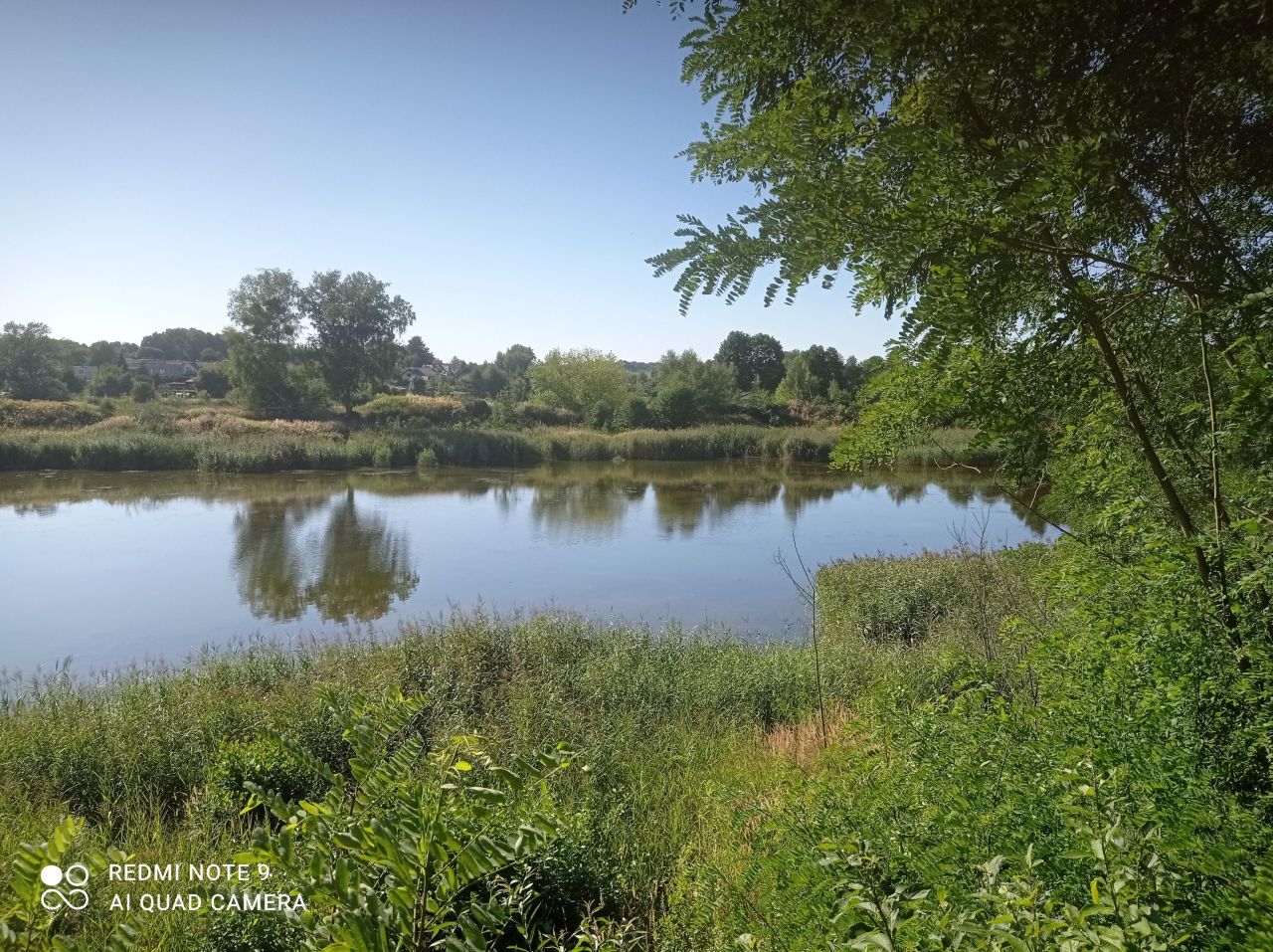 Działka rekreacyjna Ptakowice, ul. Wyzwolenia. Zdjęcie 13