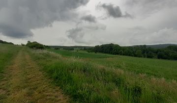 Działka rolna Wilków, Główna