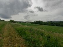 Działka rolna Wilków. Zdjęcie 1