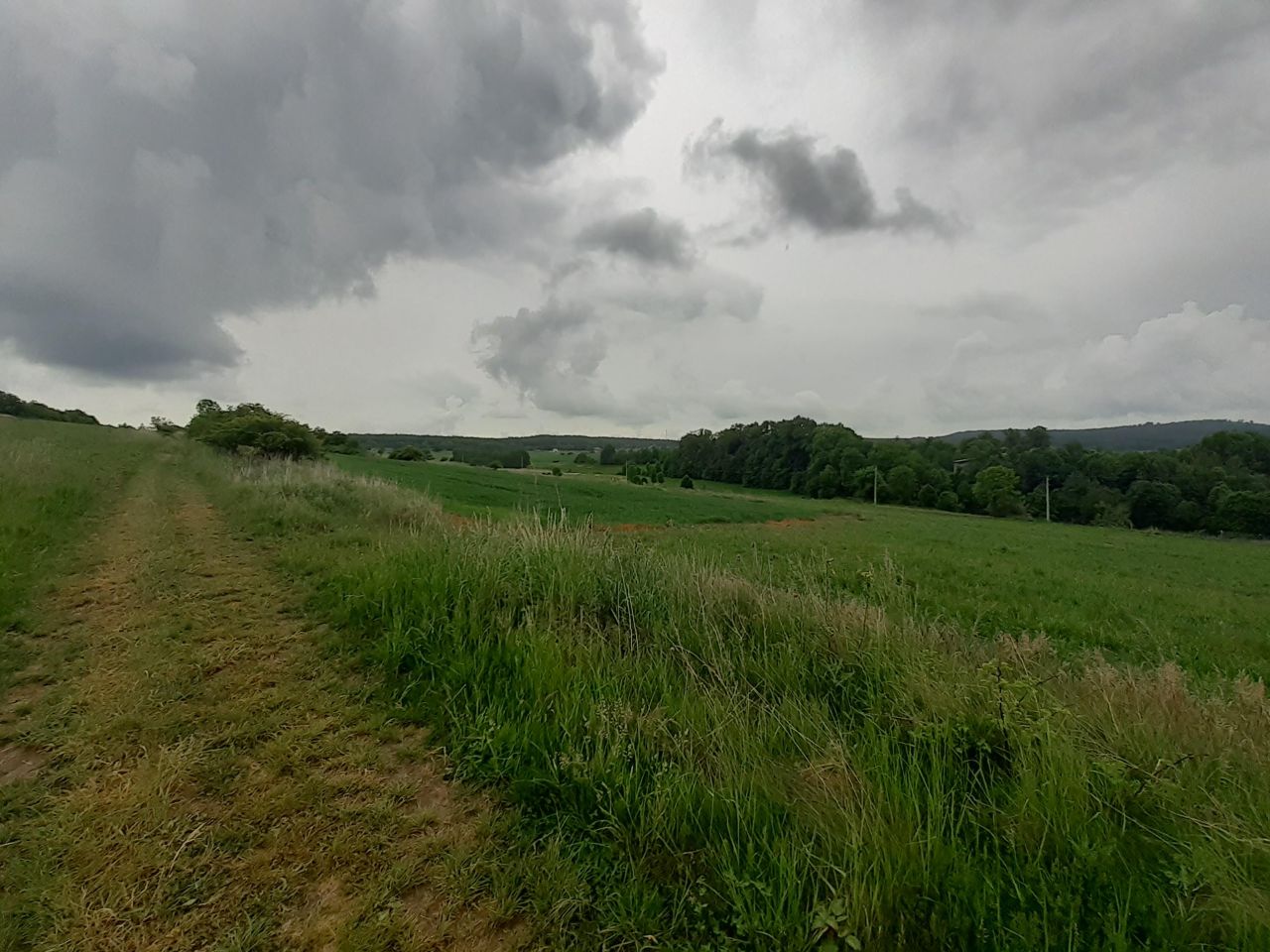 Działka rolna Wilków. Zdjęcie 2