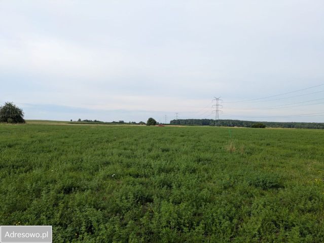 Działka budowlana Poręba, ul. Leszczynowa. Zdjęcie 1