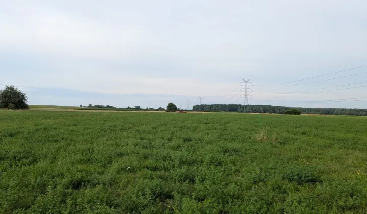 Działka budowlana Poręba, ul. Leszczynowa