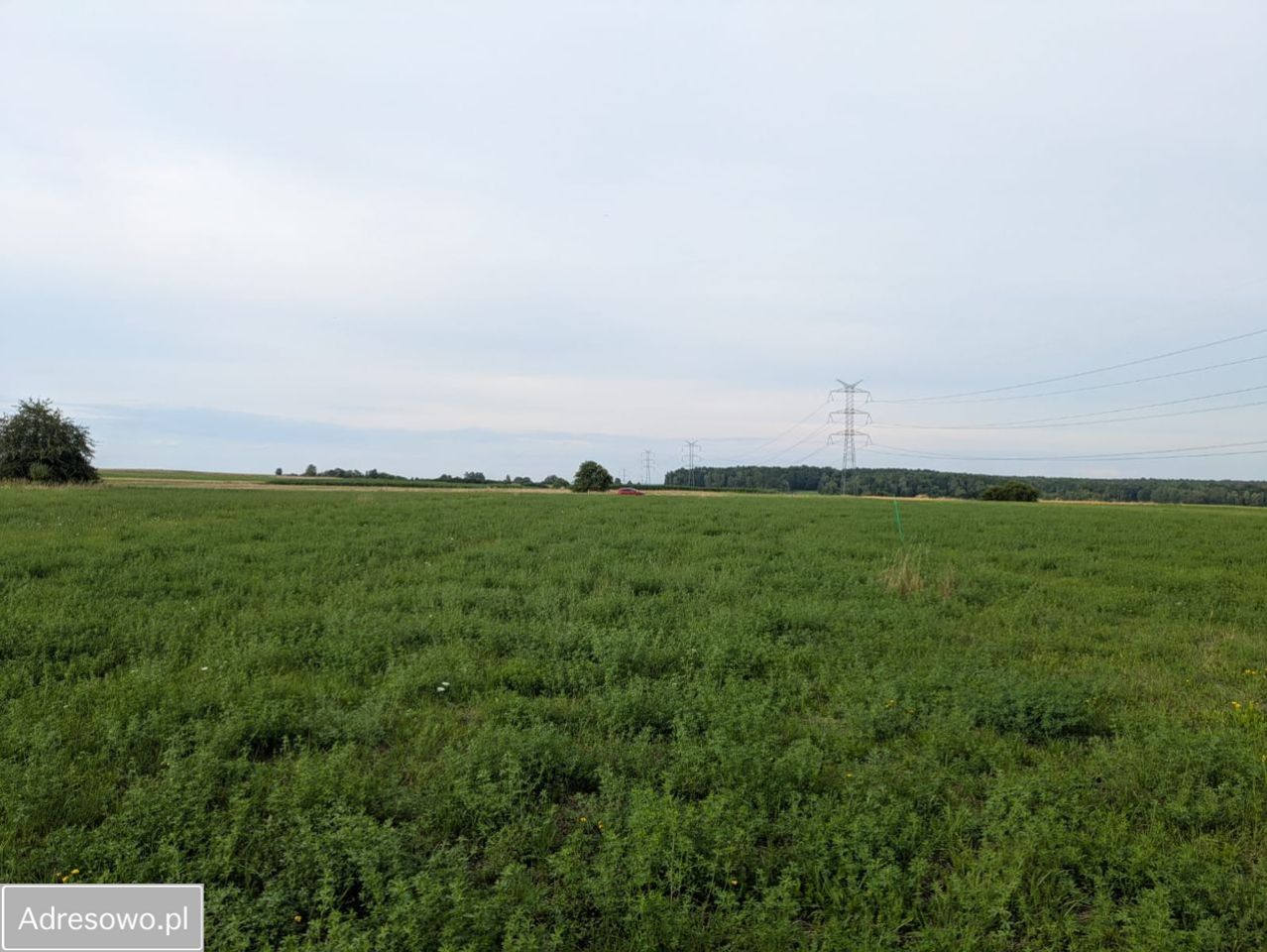 Działka budowlana Poręba, ul. Leszczynowa. Zdjęcie 1