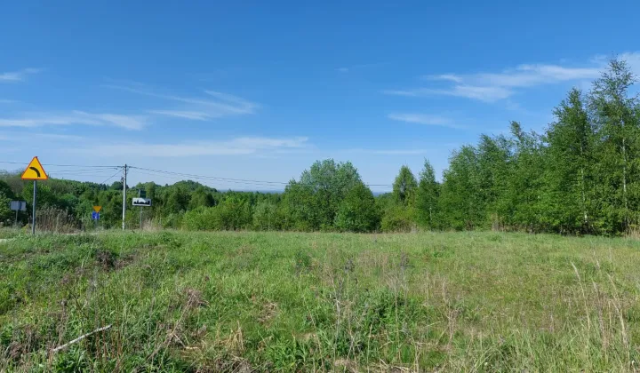 Działka siedliskowa Brzeziny